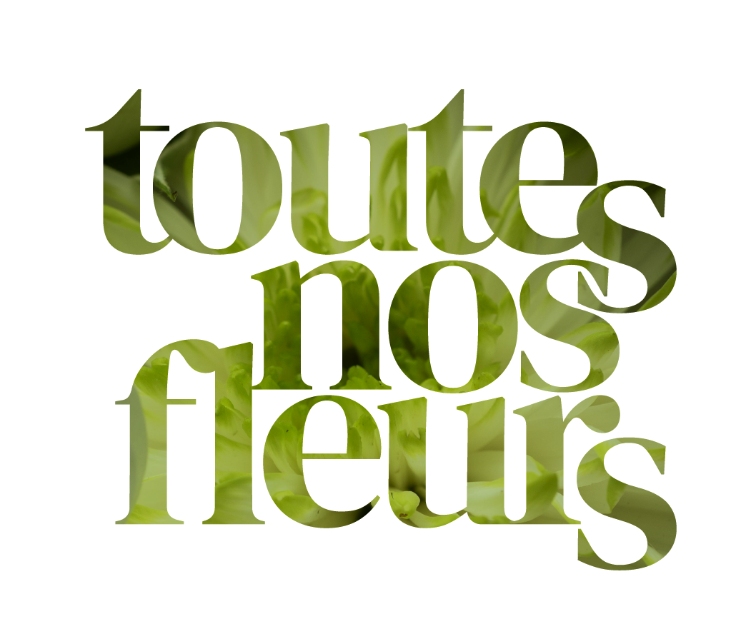 La boutique Gueule de loup Fleurs séchées